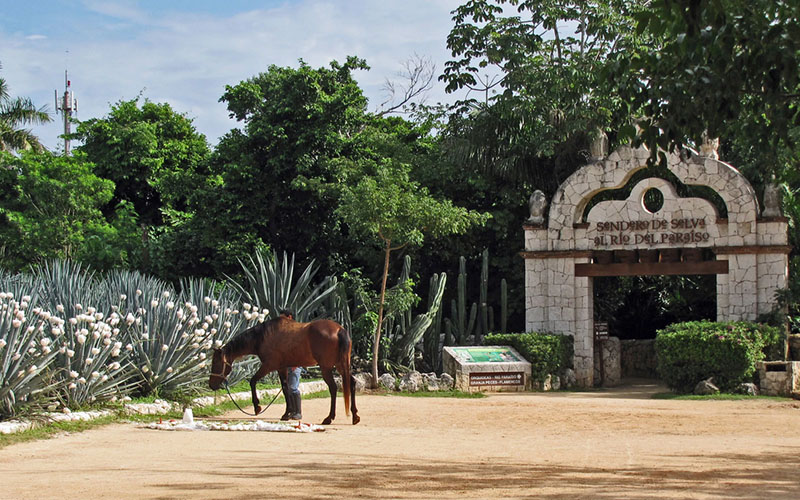 Парк Шкарет в Мексике