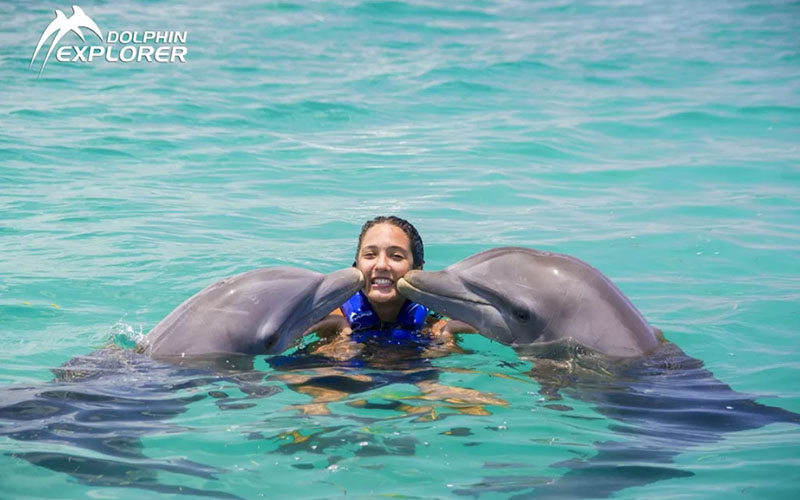 Парк дельфинов Доминикане